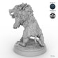 Adult Boar C