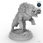 Adult Boar C