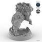 Adult Boar C