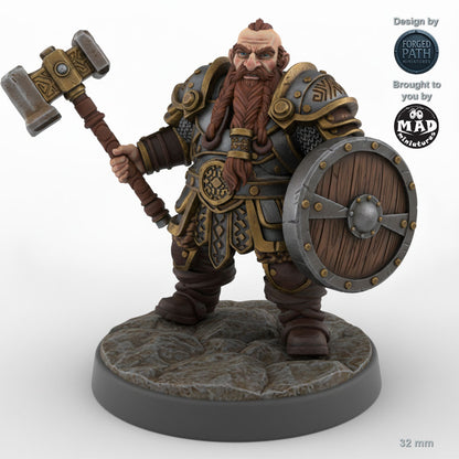 Shield-bearing Male Dwarf Fighter A