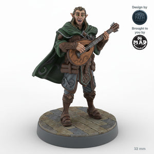 Performing Male Elf Bard A