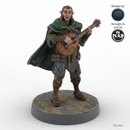 Performing Male Elf Bard A