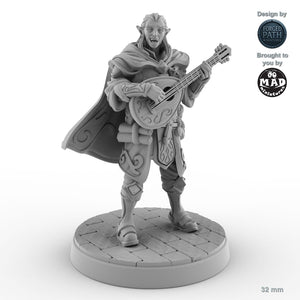 Performing Male Elf Bard A
