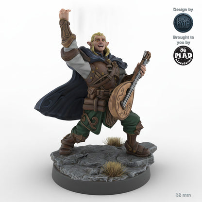 Performing Male Elf Bard B