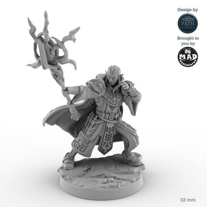 Zealous Male Elf Cleric B