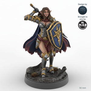 Defender Female Elf Fighter C