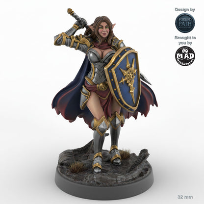 Defender Female Elf Fighter C