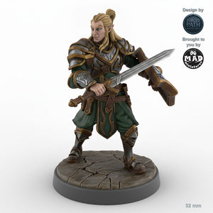 Grimacing Male Elf Fighter A