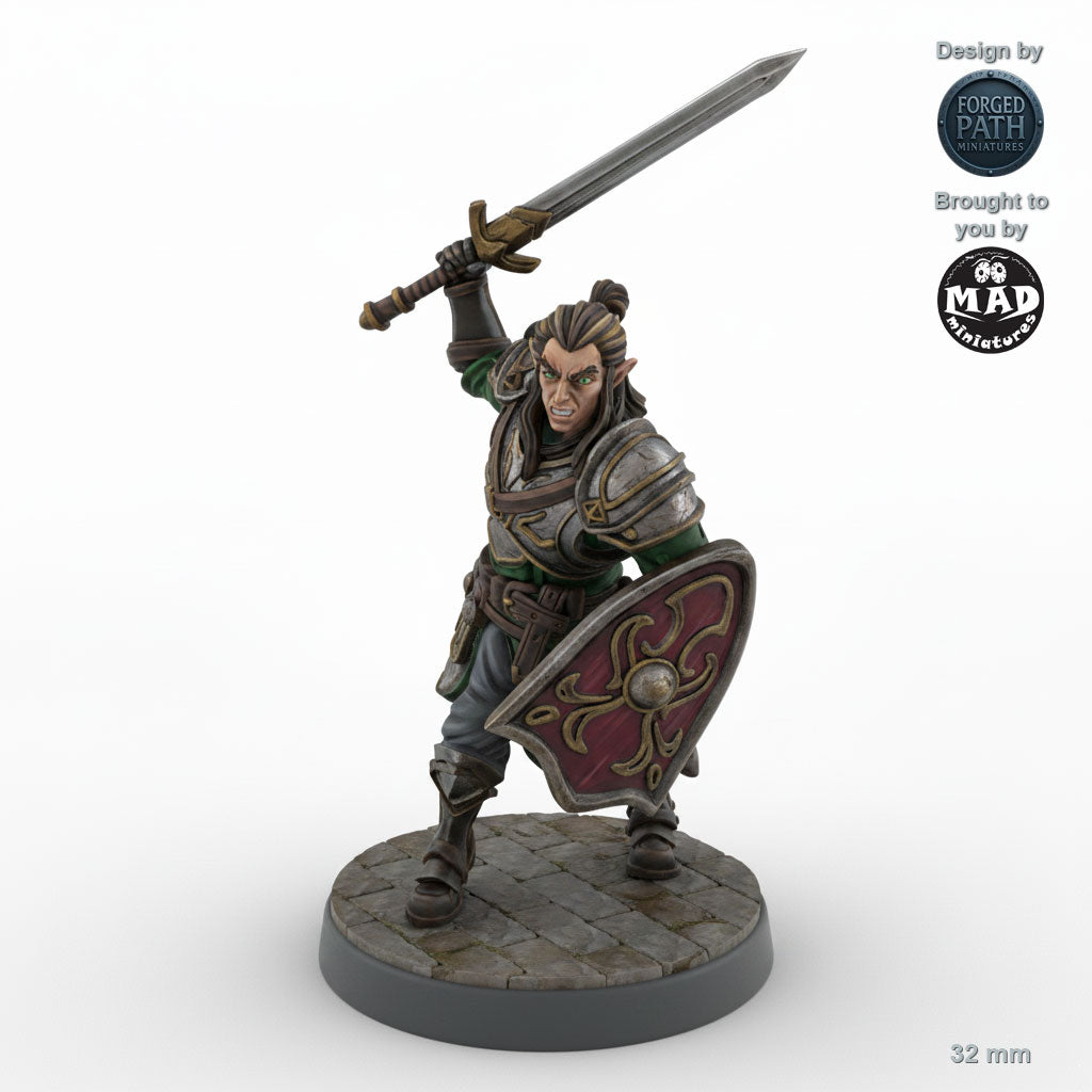 Grimacing Male Elf Fighter B
