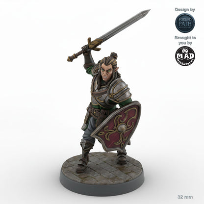 Grimacing Male Elf Fighter B