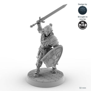 Grimacing Male Elf Fighter B