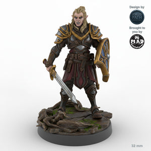 Grimacing Male Elf Fighter C