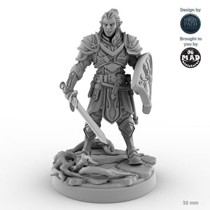 Grimacing Male Elf Fighter C
