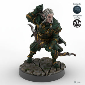 Hunting Male Elf Ranger B