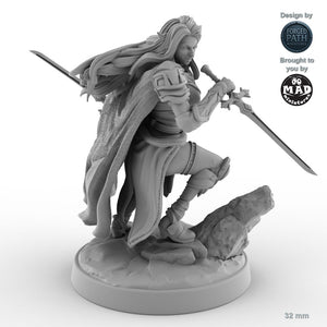 Dual-wielding Female Elf Rogue B