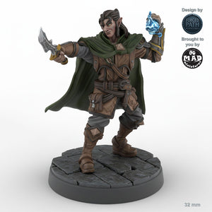 Ambushing Male Elf Rogue C