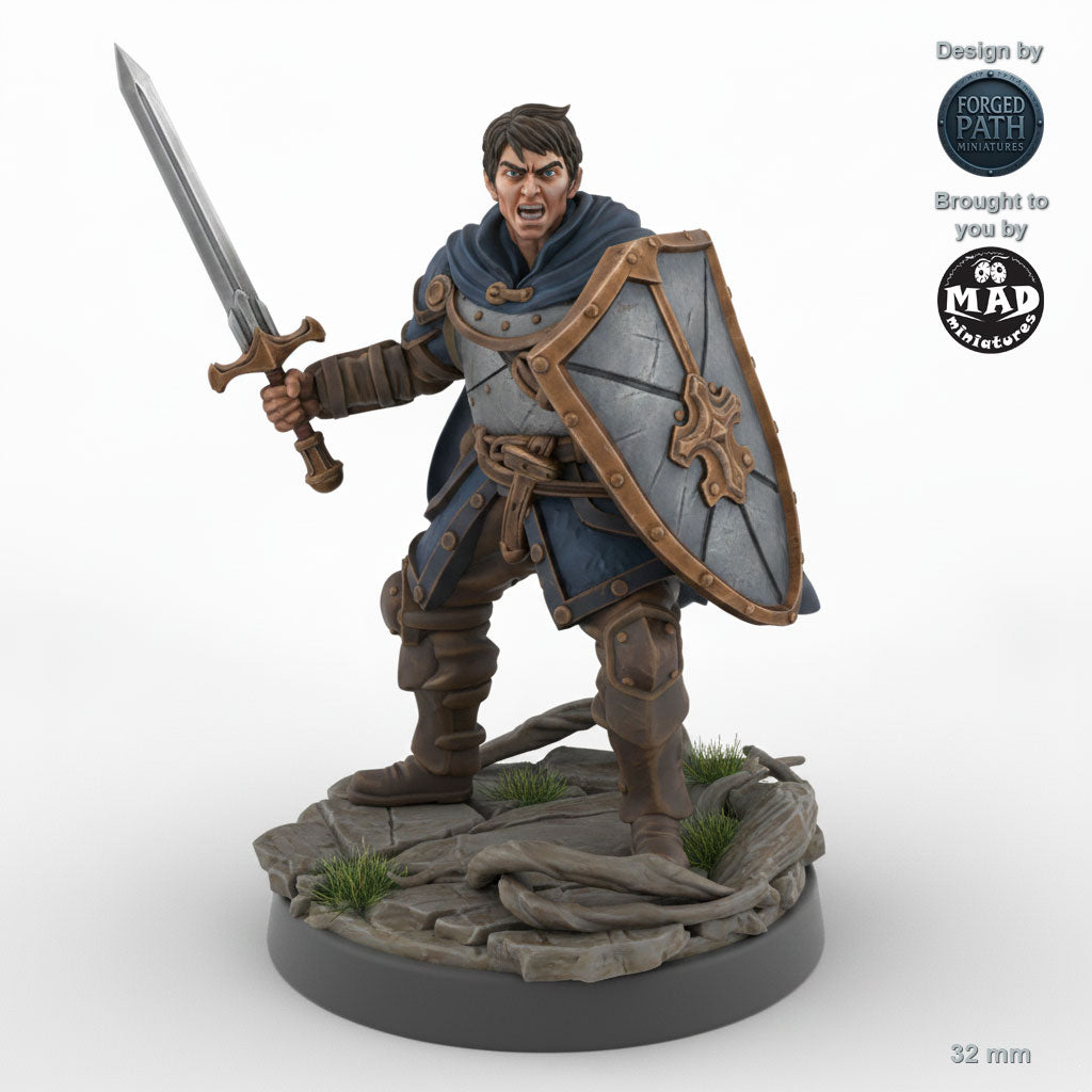 Sword and Shield Human Male Fighter A