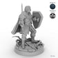Sword and Shield Human Male Fighter A