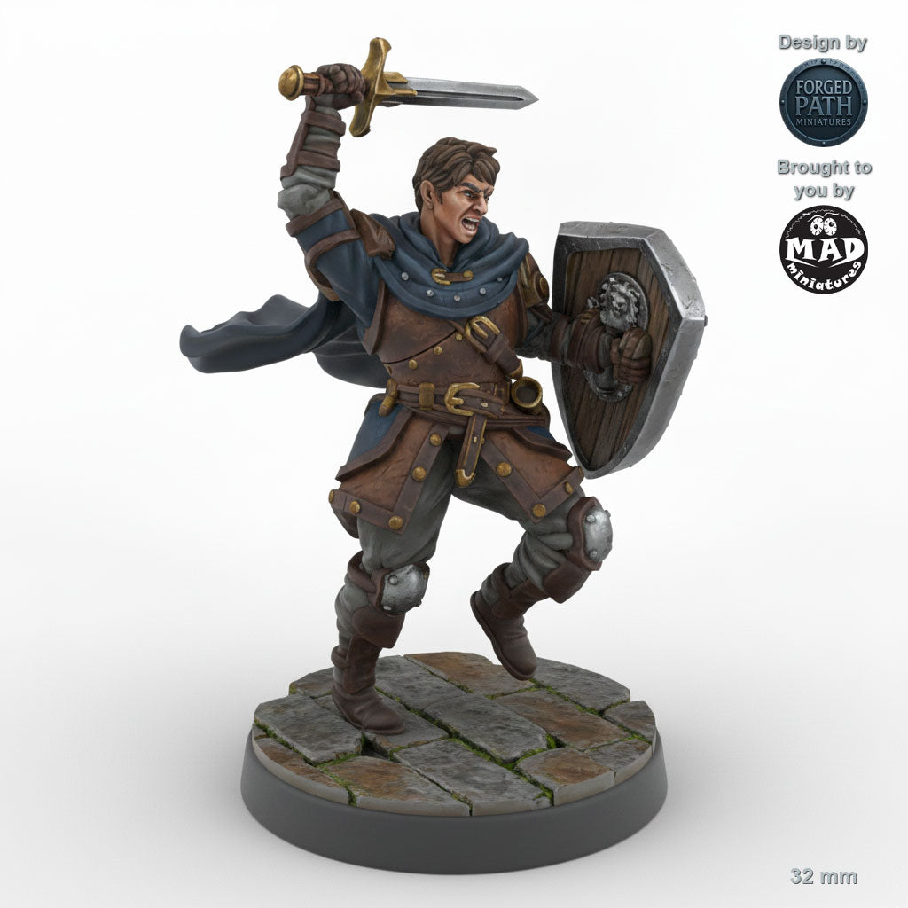 Sword and Shield Human Male Fighter C