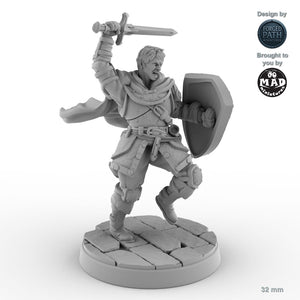 Sword and Shield Human Male Fighter C