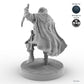 Human Male Rogue Robber B