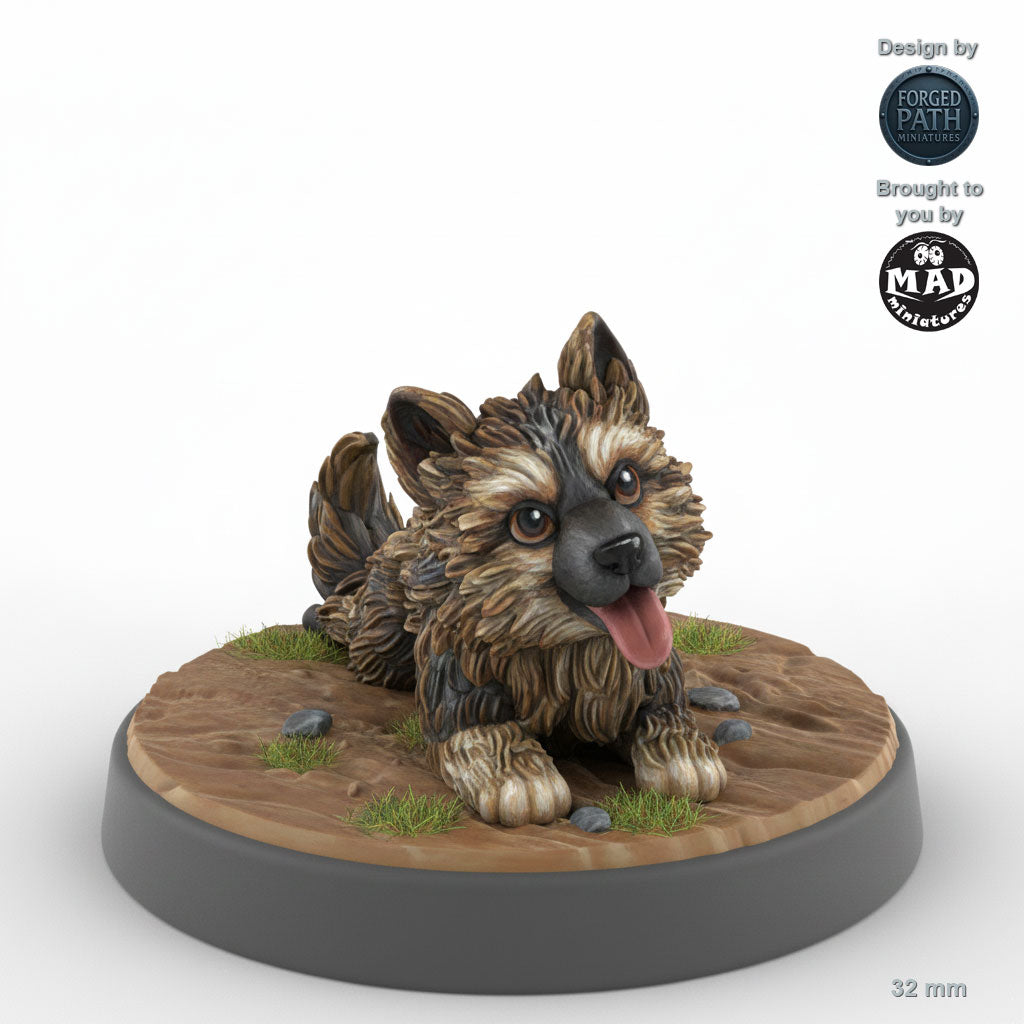 Puppy Companion B