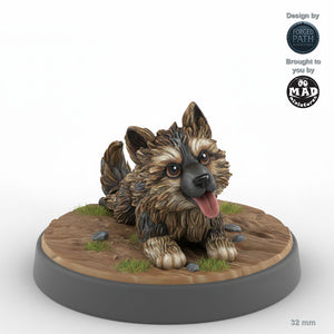 Puppy Companion B