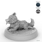 Puppy Companion B