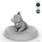 Puppy Companion C