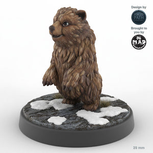Bear Cub B