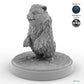 Bear Cub B