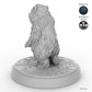 Bear Cub B