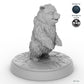 Bear Cub B