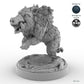 Adult Boar C