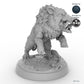 Adult Boar C
