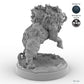 Adult Boar C
