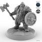 Shield-bearing Male Dwarf Fighter A
