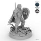 Sword and Shield Human Male Fighter A