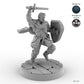 Sword and Shield Human Male Fighter C