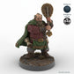 Male Dwarf Bard with Lute C
