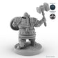 Shield-bearing Male Dwarf Fighter B