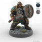 Shield-bearing Male Dwarf Fighter C
