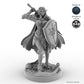 Defender Female Elf Fighter C