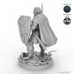 Sword and Shield Human Male Fighter A