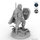 Sword and Shield Human Male Fighter A
