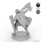 Sword and Shield Human Male Fighter B