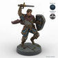 Sword and Shield Human Male Fighter C