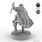 Human Male Rogue Robber B