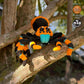 Tarantula