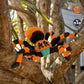 Tarantula